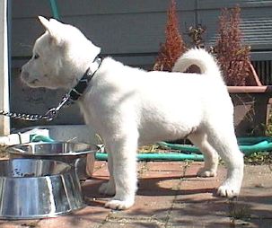 �����Y�ʐ^