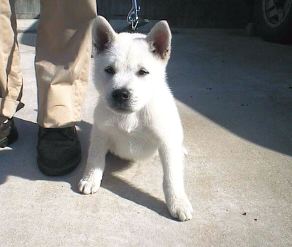 �����Y�ʐ^