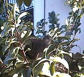 ���̐e�q�ʐ^