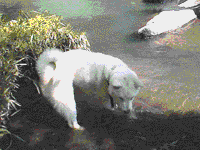 ��̑����Y�ʐ^