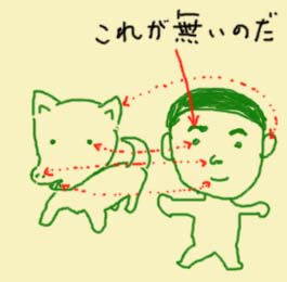 �����Y�ʐ^