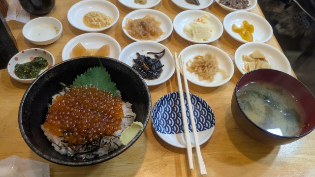 ���ْ��s�̊ό��n�ʐ^