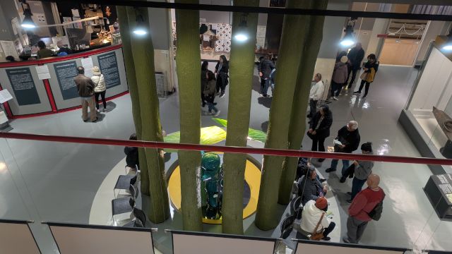 ���َs�k�����������ق̊ό��n�ʐ^