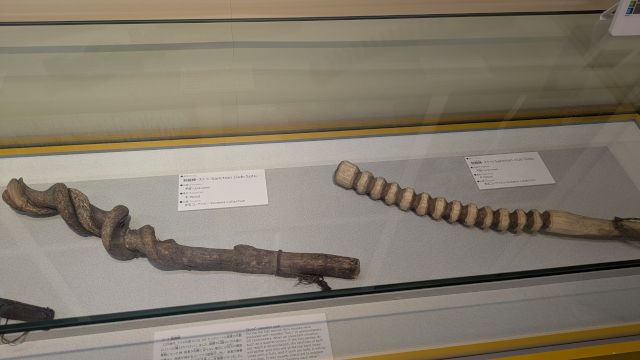 ���َs�k�����������ق̊ό��n�ʐ^