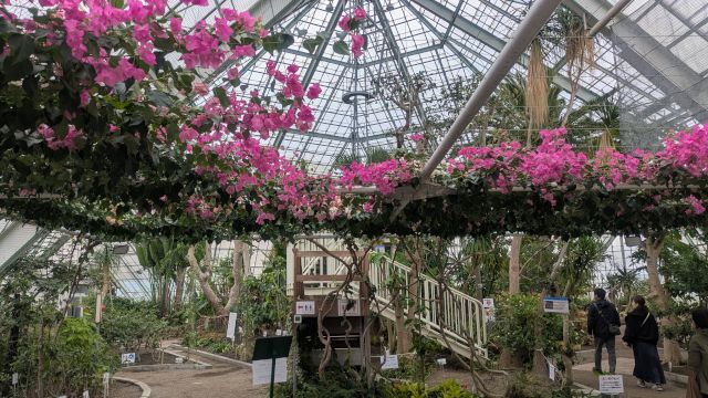 ���َs�M�ѐA�����̊ό��n�ʐ^