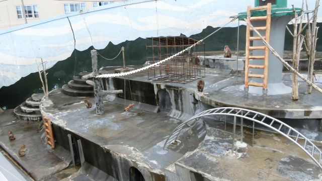 ���َs�M�ѐA�����̊ό��n�ʐ^