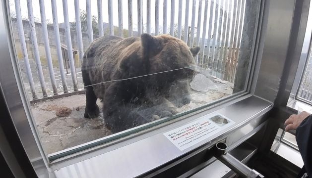 �̂ڂ�ׂN�}�q��̊ό��n�ʐ^