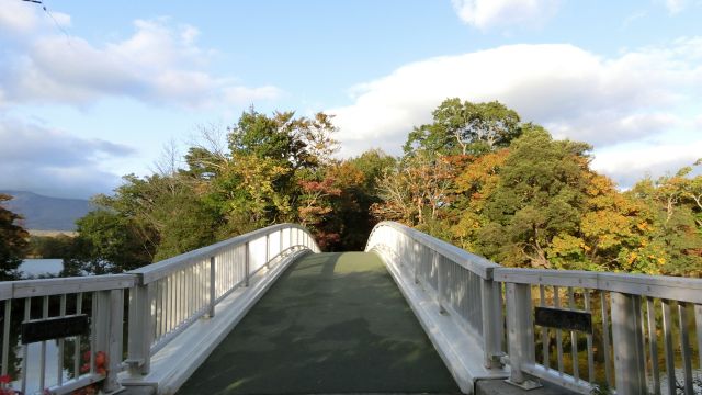 �����������̊ό��n�ʐ^