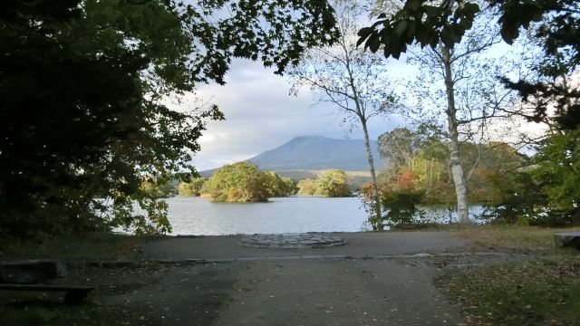 �����������̊ό��n�ʐ^