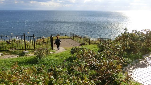 ���Җ��̊ό��n�ʐ^