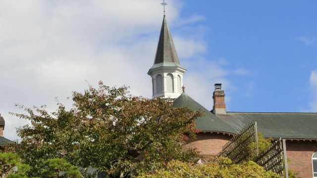 �g���s�X�`�k�C���@�̊ό��n�ʐ^