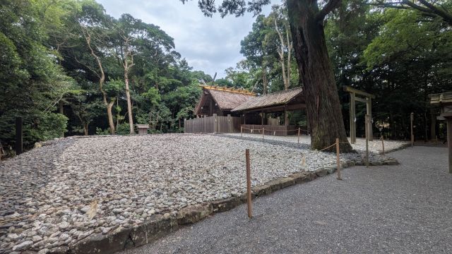 �L���_�{�ʋ{ ���錩�{�̊ό��n�ʐ^