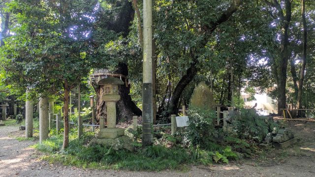 ����_�Ђ̊ό��n�ʐ^