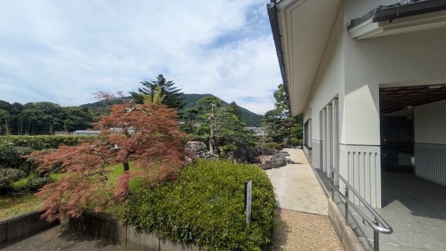 �ɓ��������p�ق̊ό��n�ʐ^