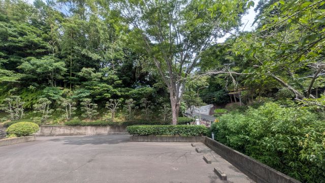 �ɓ��������p�ق̊ό��n�ʐ^