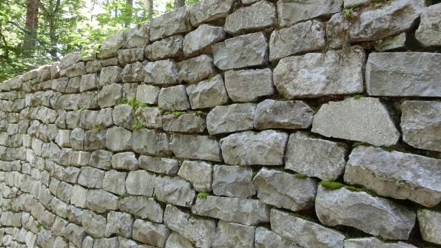 �΂̋��� �����ӎO�L�O���̊ό��n�ʐ^