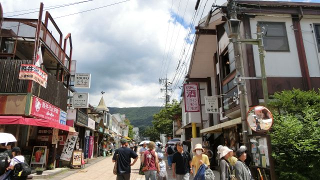 ���y��������X�X�̊ό��n�ʐ^