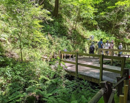 �����̑�i�y���j�̊ό��n�ʐ^