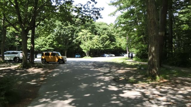 �y��򍂌�����̊ό��n�ʐ^