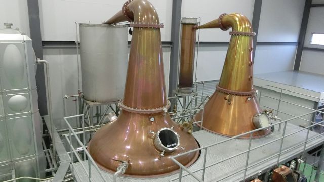 �}���X��x������ �̊ό��n�ʐ^