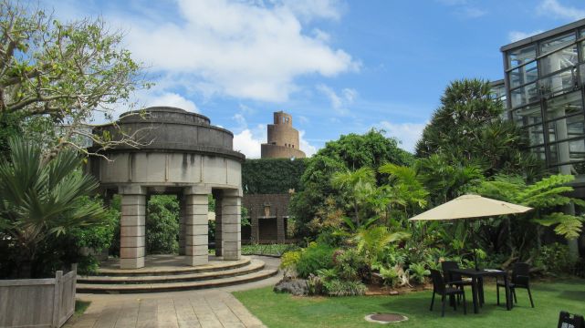 �M�уh���[���Z���^�[�̊ό��n�ʐ^