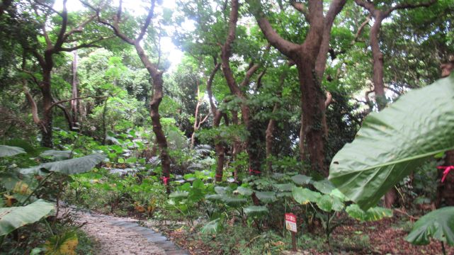 �֏��Ԃ̊ό��n�ʐ^