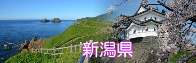新潟県のトップ画像