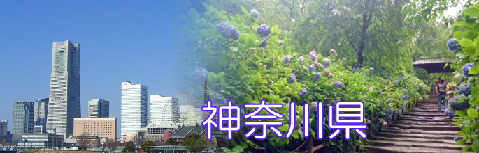 神奈川県のトップ画像